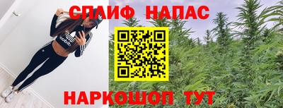шишки Коммунар