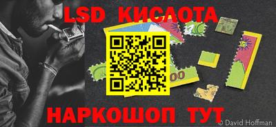 шишки Коммунар