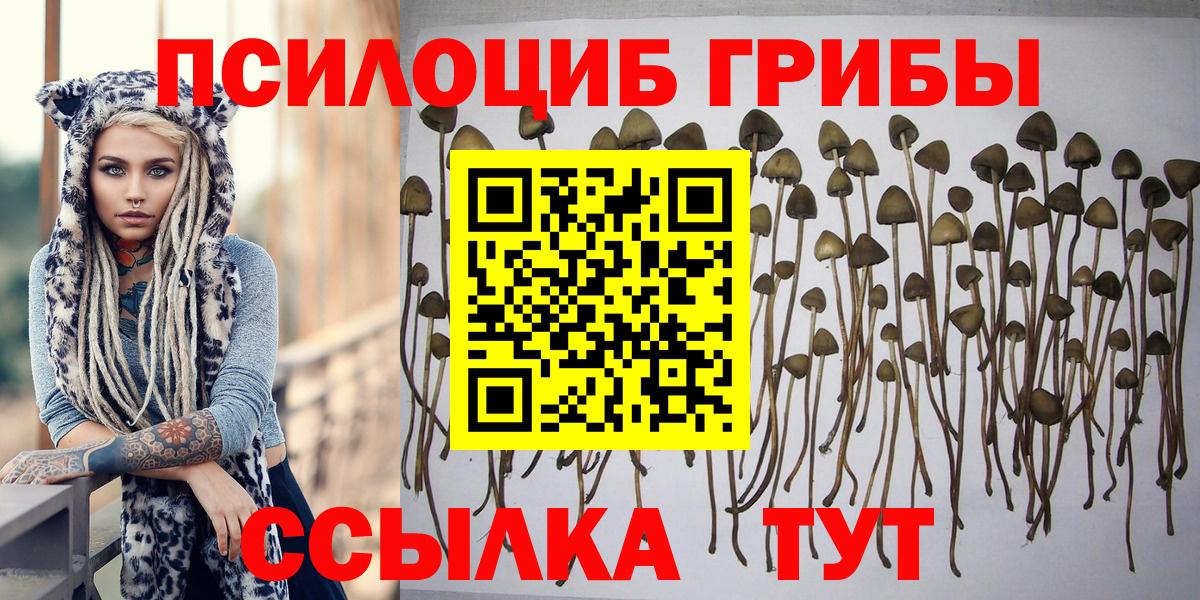 Галлюциногенные грибы прущие грибы  Вход с VPN  Котовск 